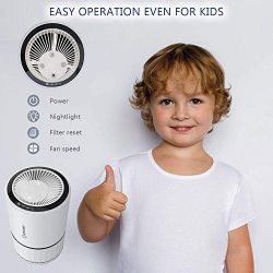 Air Purifier with True HEPA Filter for Allergies and Pets/Smoke/Mold/Germs and Dust