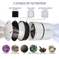 Air Purifier with True HEPA Filter for Allergies and Pets/Smoke/Mold/Germs and Dust