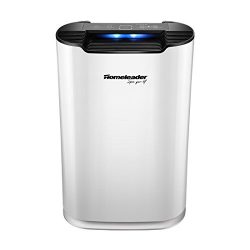 Homeleader Air Purifier with True HEPA Filter, Air Cleaner for Large Room
