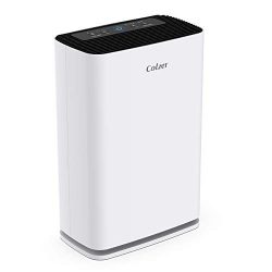 Colzer Air Purifier with True HEPA Air Filter, Air Purifier for Large Room