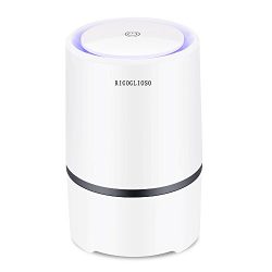 RIGOGLIOSO Air Purifier for Home with True HEPA Filters,Low Noise Portable Air Purifier with Night Light,Desktop USB Air Cleaner