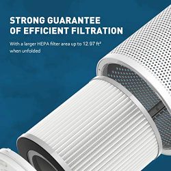 HEPA Air Purifier for Large Rooms | Perfect for Allergies, Smoke, and Pet Dander