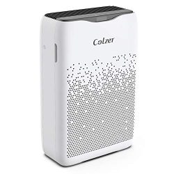 COLZER Air Purifier with True HEPA Air Filter, Air Purifier for Bedroom, for Spaces Up to 450 Sq Ft, Perfect for Home/Office with Filter (EPI-186)