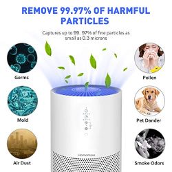HEPA Air Purifier for Large Rooms | Perfect for Allergies, Smoke, and Pet Dander