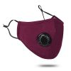Ooscy Mask with Filter, Anti Air Dust and Smoke Pollution Mask Respirator for Outdoor Sports, Gardening, Travel, Craftsman Resist Dust, Germs, Allergies, PM2.5, Pollution