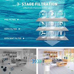 HEPA Air Purifier for Large Rooms | Perfect for Allergies, Smoke, and Pet Dander