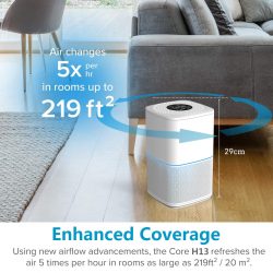 Air Purifier for Home Allergies Pets Hair Smokers
