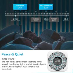 Air Purifier for Home Allergies Pets Hair Smokers