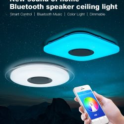 Modern LED ceiling Bluetooth Music