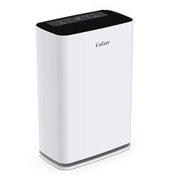 99.97% of Hair, Dust Air Purifiers for Home Large Rooms