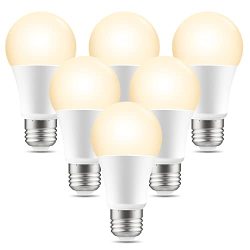 Home Smart Alexa Light Bulbs