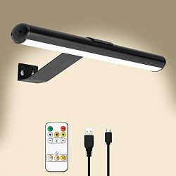 LED Picture Light with Remote