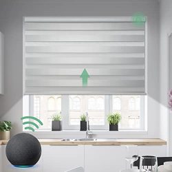 Alexa Ready Windows Blinds for Home Privacy