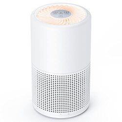 Small Air Purifiers for Home Pets