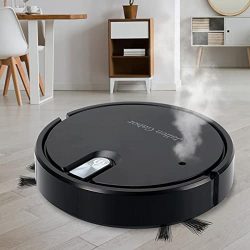 Carpet Vacuum Cleaner with Automatic Dirt Disposal