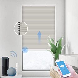 Motorized Blackout Window Shades with Remote