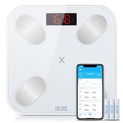 Nedded in weight loss, the Smart Scale for Body Weight