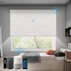 Motorized Roller Shades Work with Alexa SmartThings Google