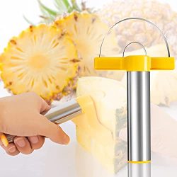 Pineapple Core Remover Tool