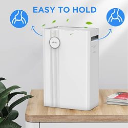 Allergies, Pollen, Smoke Air Purifier