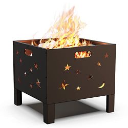 Picnic Bonfire Firepit Wood Burning