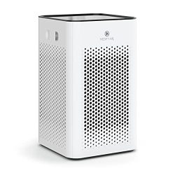 Wildfire Smoke, Dust Air Purifier with HEPA Filter