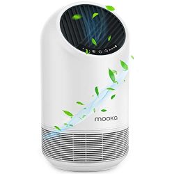 HEPA Air Purifiers for Large Room