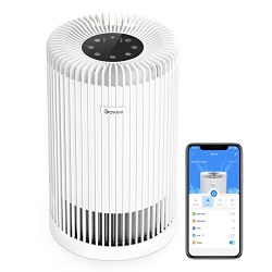 Smart Air Purifiers for Home Large Room