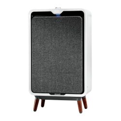 Air Purifier with HEPA and Carbon Filters