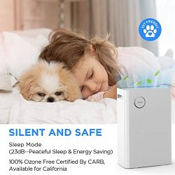 Allergies, Pollen, Smoke Air Purifier