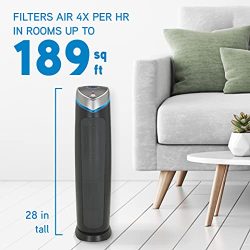 True HEPA Filter Air Purifier