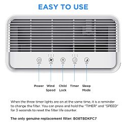 Allergies, Pollen, Smoke Air Purifier