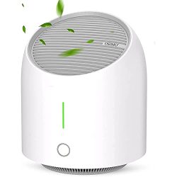 USB Portable Air Purifier with True HEPA Filter