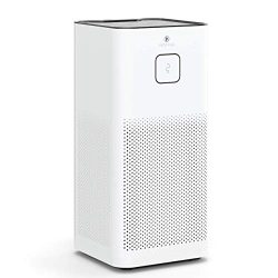 Air Purifier with H13 True HEPA Filter