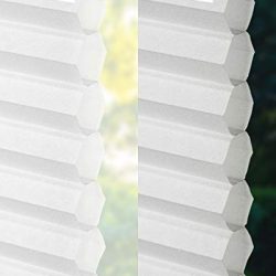 Window Shades for Home