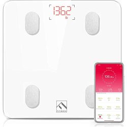Accurate Bathroom Scale for Body Weight