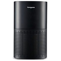 Large Rooms Air Purifiers