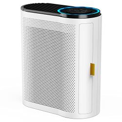 Smoke, Pollen Air Purifiers for Large Room