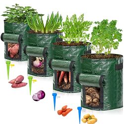 Potato Planter for Growing Potatoes