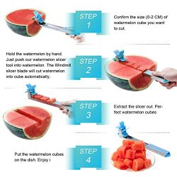 Windmill Watermelon Slicer