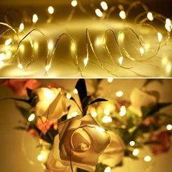 Wedding Copper String Lights