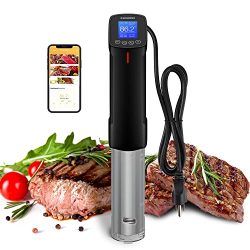 Thermal Immersion Sous Vide Precision Cooker