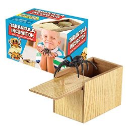 Fake Spider & Wooden Box Gag Gift for Kids