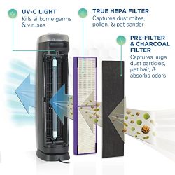 True HEPA Filter Air Purifier