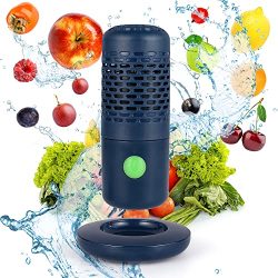 Portable Ultrasonic Fruit and Vegetable Washing Machine