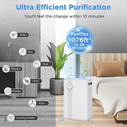 Allergies, Pollen, Smoke Air Purifier