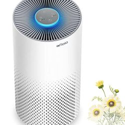 Home Smokers this Air Purifier is for you