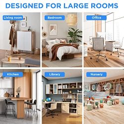 Allergies, Pollen, Smoke Air Purifier