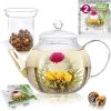 Microwave Safe Glass Teapot