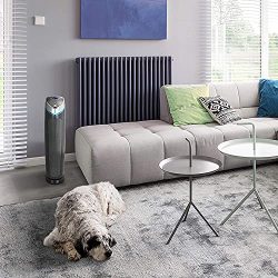 True HEPA Filter Air Purifier
